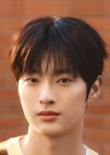 Lee Mark