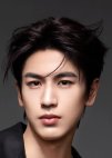 He Su Ye